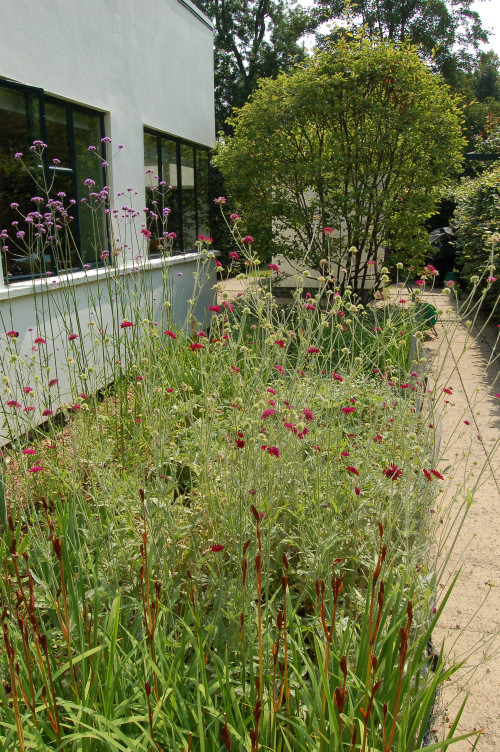 Border design and planting