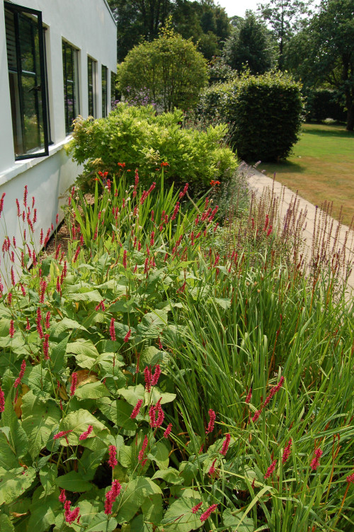 Border design and planting