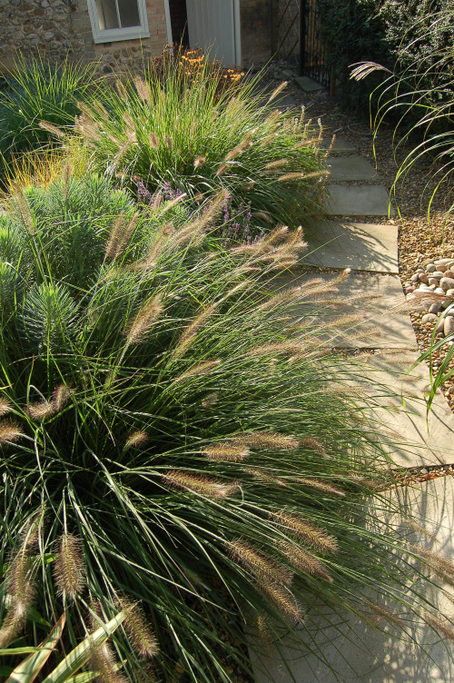 Garden for a Norfolk flint cottage