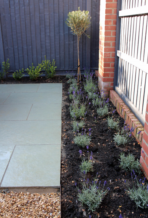 Courtyard garden design and build