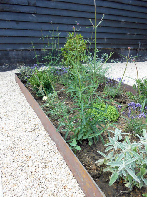 contemporary barn conversion garden