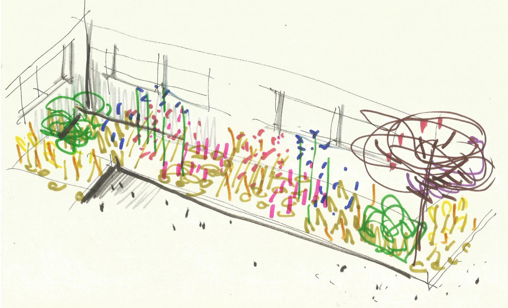 Border design and planting