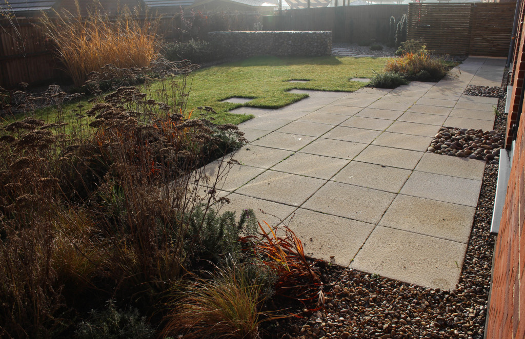 Low maintenance contemporary-style garden