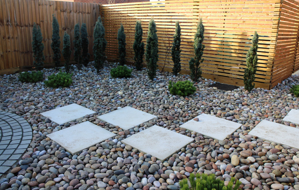 Low maintenance contemporary-style garden