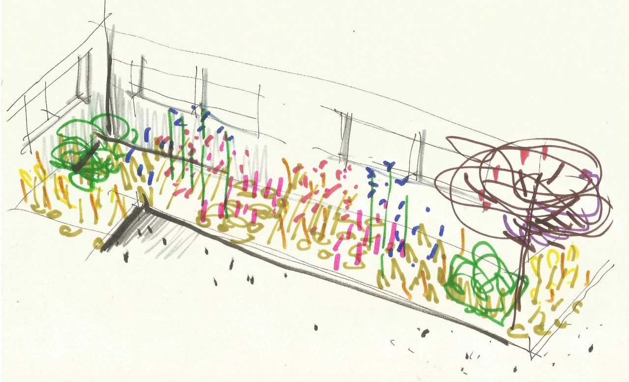 Border design and planting