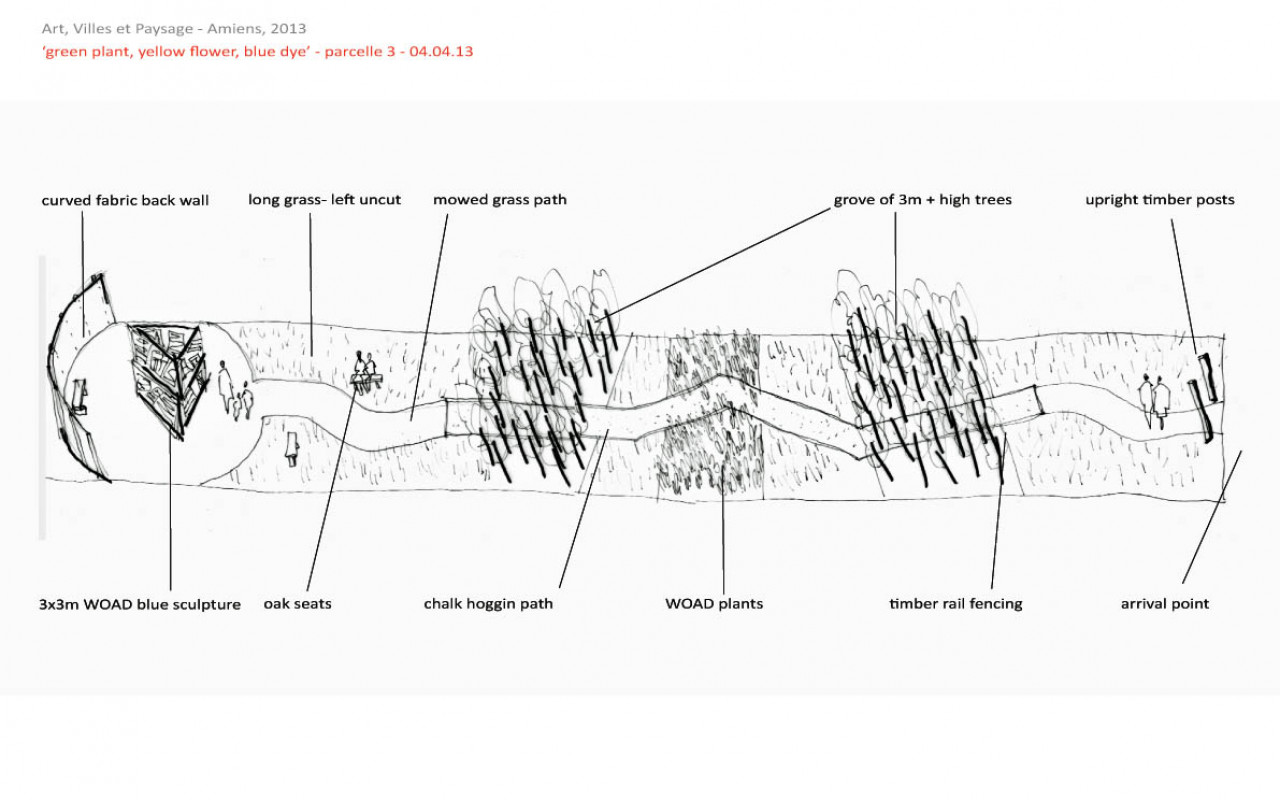 Landscape and art installation, woad planting