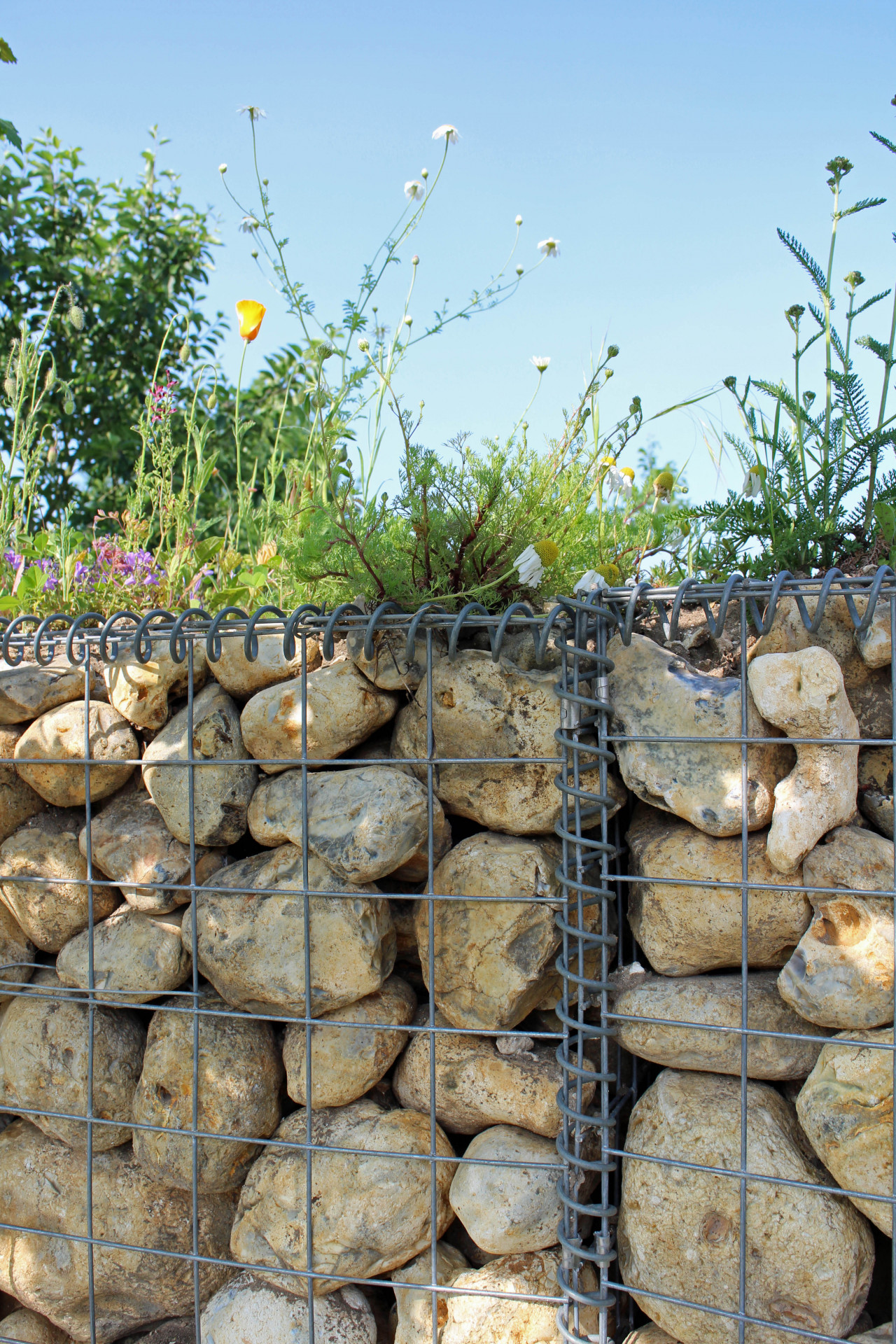 Raised patio garden - gabion