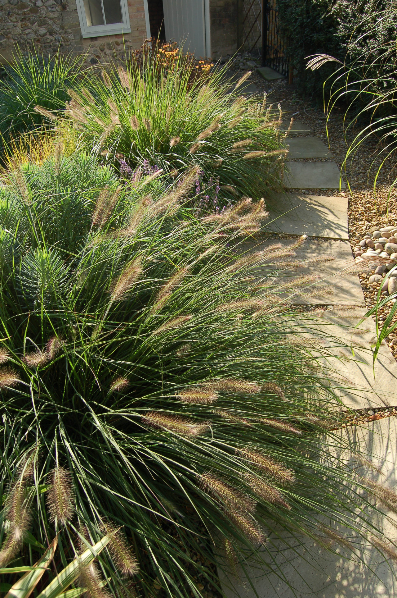 Garden for a Norfolk flint cottage